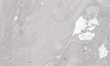 Gerçekçi sıvı mermer zemin ve kömür renginde altın. Tasarım arka planı için mükemmel