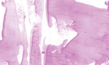 Orkide rengine boyanmış yaratıcı el yazısı arka plan. Tasarım duvar kağıdı ve dokusu için soyut bileşim.