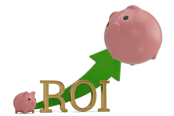 Roi Piggy Bank Geïsoleerd Een Witte Achtergrond Illustratie — Stockfoto