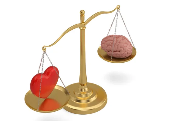Corazón y cerebro sobre libra sobre fondo blanco. Ilustración 3D . —  Fotos de Stock