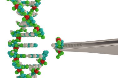 Genetic engineering and gene manipulation concept tweezers is re clipart