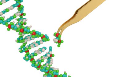 Genetik mühendisliği ve gen manipülasyonkavramı cımbız re