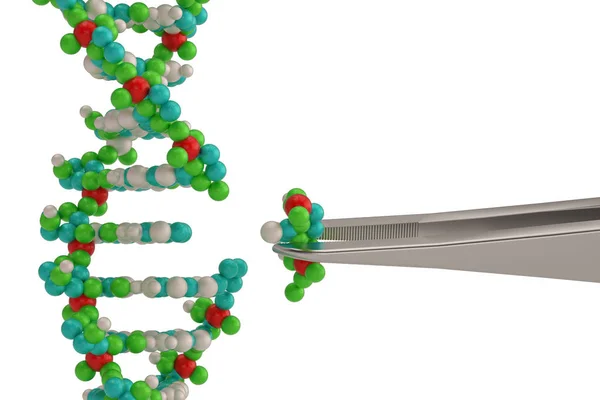 Ingeniería genética y manipulación de genes concepto pinzas es re —  Fotos de Stock