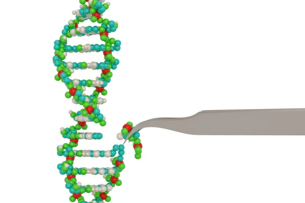 Genetic engineering and gene manipulation concept tweezers is re