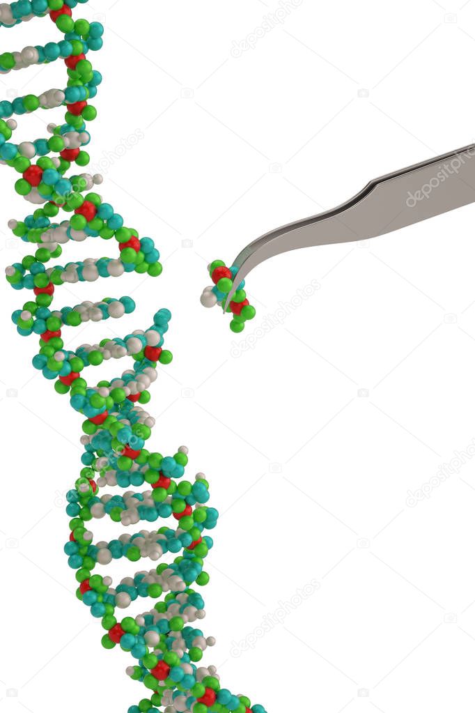Genetic engineering and gene manipulation concept tweezers is re