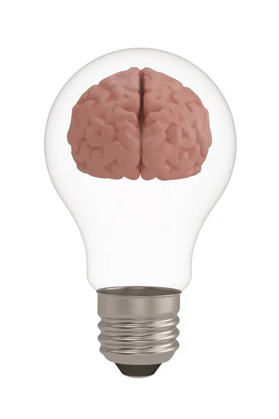 Мозг и лампочка, изолированные на белом — стоковое фото
