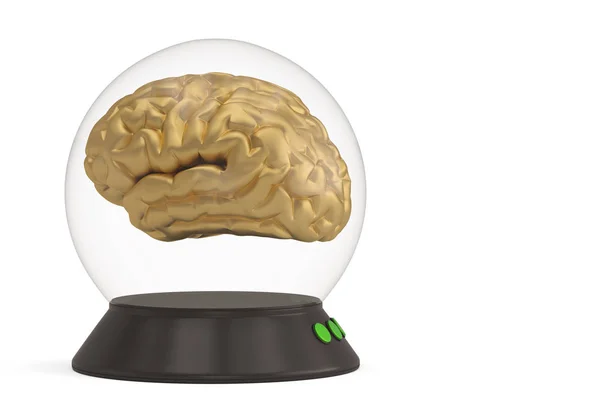 흰색 배경 3D에 고립 된 베이스와 뇌가있는 유리 종 — 스톡 사진