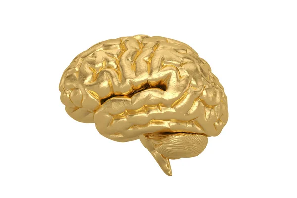 Cerebro dorado aislado sobre fondo blanco, ilustración 3D . —  Fotos de Stock