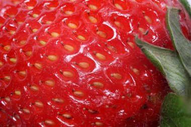 Çilekli Makro Atış, Çilekli Doku Arkaplanı Ekstrem Makro.