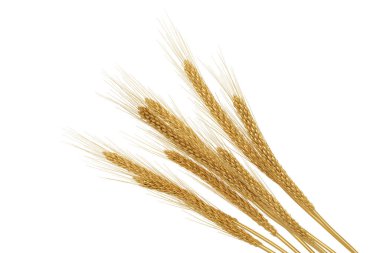 Beyaz arka planda izole edilmiş altın buğday. 3B illüstrasyon.