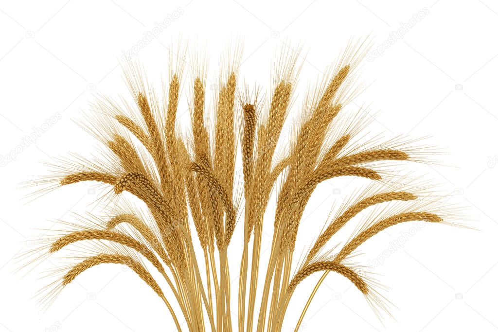 Gold wheat isolated on white background. 3D illustration.