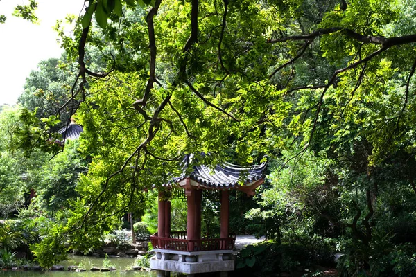 Aziatische Tuin Chinese Tuin Japanse Tuin Azië Reizen — Stockfoto