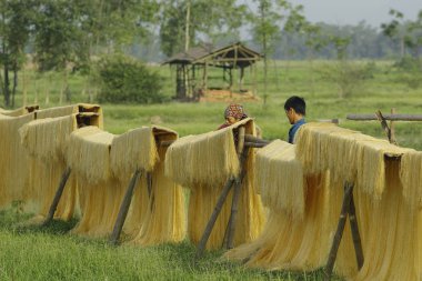 Hanoi, Vietnam, 2017: ararot erişte-özel Vietnam Erişte kurutulmuş bambu çit Cu Da Köyü (bir eski köy Hanoi yollar boyunca gidiş üzerinde)