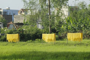 Hanoi, Vietnam, 2017: ararot erişte-özel Vietnam Erişte kurutulmuş bambu çit Cu Da Köyü (bir eski köy Hanoi yollar boyunca gidiş üzerinde)