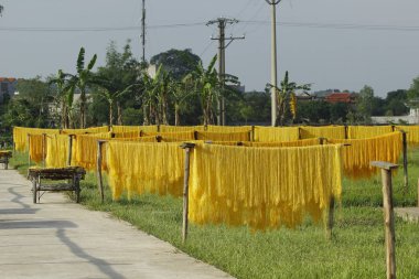 Hanoi, Vietnam, 2017: ararot erişte-özel Vietnam Erişte kurutulmuş bambu çit Cu Da Köyü (bir eski köy Hanoi yollar boyunca gidiş üzerinde)