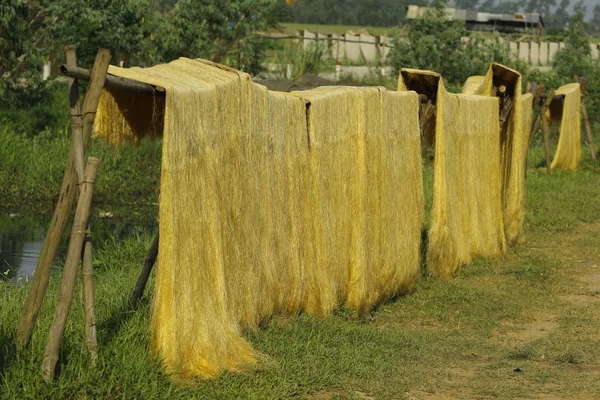 Hanoi, Vietnam, 2017: ararot erişte-özel Vietnam Erişte kurutulmuş bambu çit Cu Da Köyü (bir eski köy Hanoi yollar boyunca gidiş üzerinde)