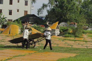 CuDa köyü, Hanoi, Vietnam Şubat 08 2020: İşçiler Arrowroot vermicelli 'yi ifşa ettiler - bambu çitlerle kurutulan özel bir Vietnam eriştesi köyün yolları boyunca ilerliyor..