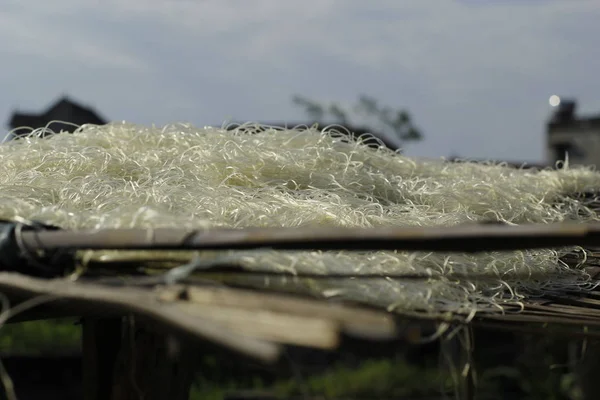 CuDa köyü, Hanoi, Vietnam Şubat 08 2020: İşçiler Arrowroot vermicelli 'yi ifşa ettiler - bambu çitlerle kurutulan özel bir Vietnam eriştesi köyün yolları boyunca ilerliyor..