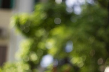 bokeh renk arkaplanı, ışık arkaplan