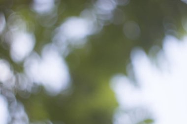 bokeh renk arkaplanı, ışık arkaplan