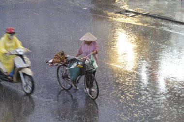 HANOI, VIETNAM - 21 Ağustos 2020 'de Hanoi, Vietnam' da sabah erken saatlerde satıcı için küçük bir pazar. Vietnam çiçekçisi satıcısı. içinde