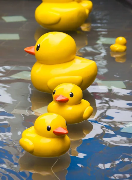 Mavi temiz havuzda komik ördek oyuncağı