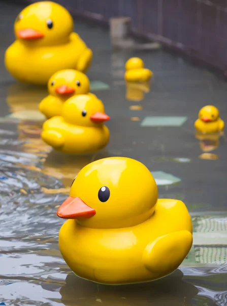 Mavi temiz havuzda komik ördek oyuncağı