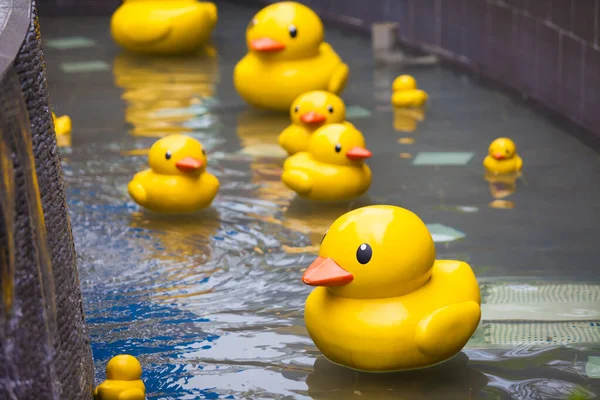 Mavi temiz havuzda komik ördek oyuncağı