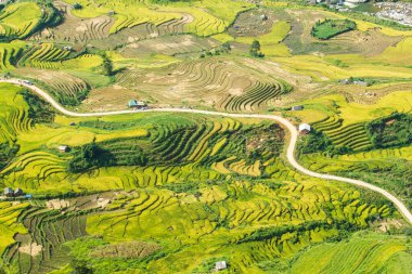 Laocai Vietnam çeltik tarlaları, teras kültürü, Sapa, Vietnam