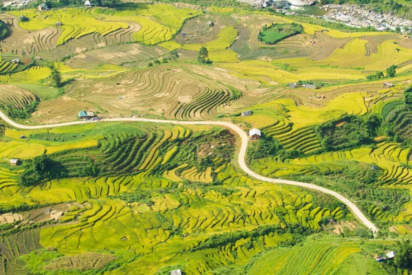 Laocai Vietnam çeltik tarlaları, teras kültürü, Sapa, Vietnam