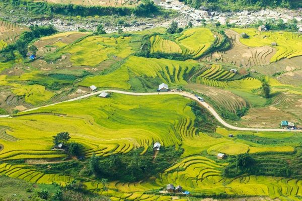 Laocai Vietnam çeltik tarlaları, teras kültürü, Sapa, Vietnam