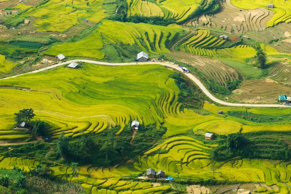 Laocai Vietnam çeltik tarlaları, teras kültürü, Sapa, Vietnam