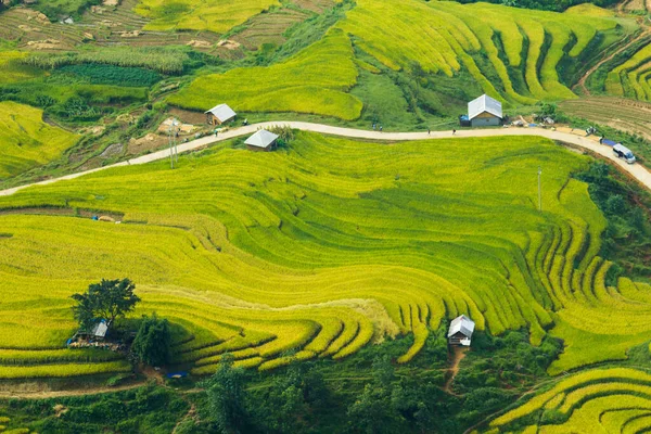 Laocai Vietnam çeltik tarlaları, teras kültürü, Sapa, Vietnam