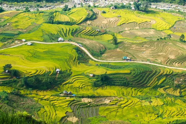 Laocai Vietnam çeltik tarlaları, teras kültürü, Sapa, Vietnam