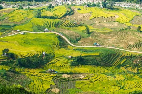Laocai Vietnam Paddy Fields Terraced Culture Sapa Vietnam — стоковое фото