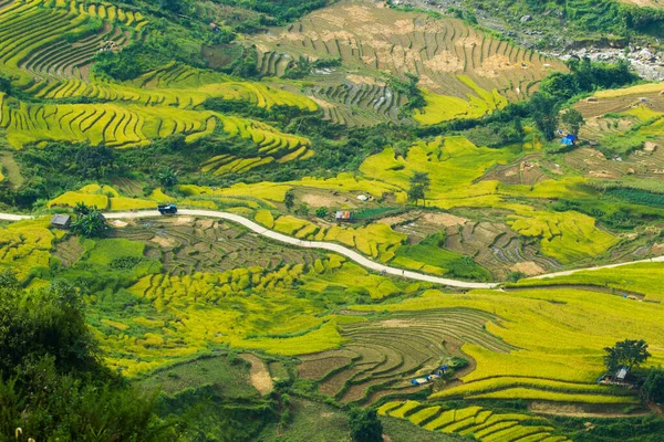 Laocai Vietnam çeltik tarlaları, teras kültürü, Sapa, Vietnam