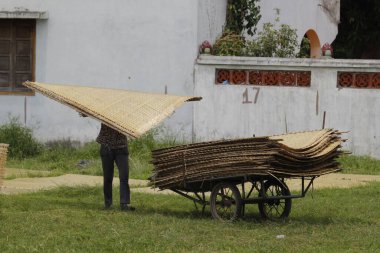 CuDa Köyü - Hanoi - Vietnam - 21 Haziran 2015 - Arrowroot vermicelli- bambu çitleri üzerinde kurutulan özel bir Vietnam eriştesi