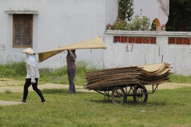 CuDa Köyü - Hanoi - Vietnam - 21 Haziran 2015 - Arrowroot vermicelli- bambu çitleri üzerinde kurutulan özel bir Vietnam eriştesi