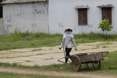 CuDa Köyü - Hanoi - Vietnam - 21 Haziran 2015 - Arrowroot vermicelli- bambu çitleri üzerinde kurutulan özel bir Vietnam eriştesi