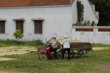 CuDa Köyü - Hanoi - Vietnam - 21 Haziran 2015 - Arrowroot vermicelli- bambu çitleri üzerinde kurutulan özel bir Vietnam eriştesi