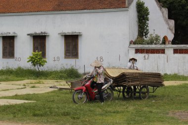 CuDa Köyü - Hanoi - Vietnam - 21 Haziran 2015 - Arrowroot vermicelli- bambu çitleri üzerinde kurutulan özel bir Vietnam eriştesi