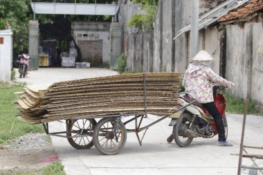 CuDa Köyü - Hanoi - Vietnam - 21 Haziran 2015 - Arrowroot vermicelli- bambu çitleri üzerinde kurutulan özel bir Vietnam eriştesi