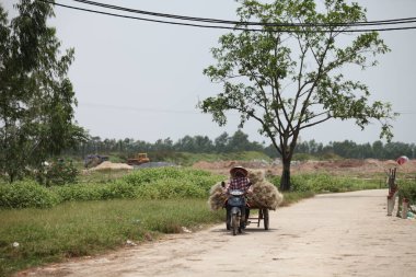 CuDa Köyü - Hanoi - Vietnam - 21 Haziran 2015 - Arrowroot vermicelli- bambu çitleri üzerinde kurutulan özel bir Vietnam eriştesi