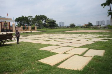 CuDa Köyü - Hanoi - Vietnam - 21 Haziran 2015 - Arrowroot vermicelli- bambu çitleri üzerinde kurutulan özel bir Vietnam eriştesi
