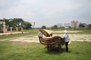 CuDa Köyü - Hanoi - Vietnam - 21 Haziran 2015 - Arrowroot vermicelli- bambu çitleri üzerinde kurutulan özel bir Vietnam eriştesi