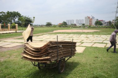 CuDa Köyü - Hanoi - Vietnam - 21 Haziran 2015 - Arrowroot vermicelli- bambu çitleri üzerinde kurutulan özel bir Vietnam eriştesi