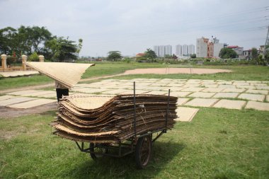 CuDa Köyü - Hanoi - Vietnam - 21 Haziran 2015 - Arrowroot vermicelli- bambu çitleri üzerinde kurutulan özel bir Vietnam eriştesi