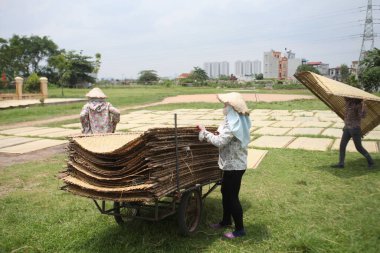 CuDa Köyü - Hanoi - Vietnam - 21 Haziran 2015 - Arrowroot vermicelli- bambu çitleri üzerinde kurutulan özel bir Vietnam eriştesi