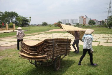 CuDa Köyü - Hanoi - Vietnam - 21 Haziran 2015 - Arrowroot vermicelli- bambu çitleri üzerinde kurutulan özel bir Vietnam eriştesi