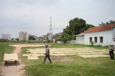 CuDa Köyü - Hanoi - Vietnam - 21 Haziran 2015 - Arrowroot vermicelli- bambu çitleri üzerinde kurutulan özel bir Vietnam eriştesi